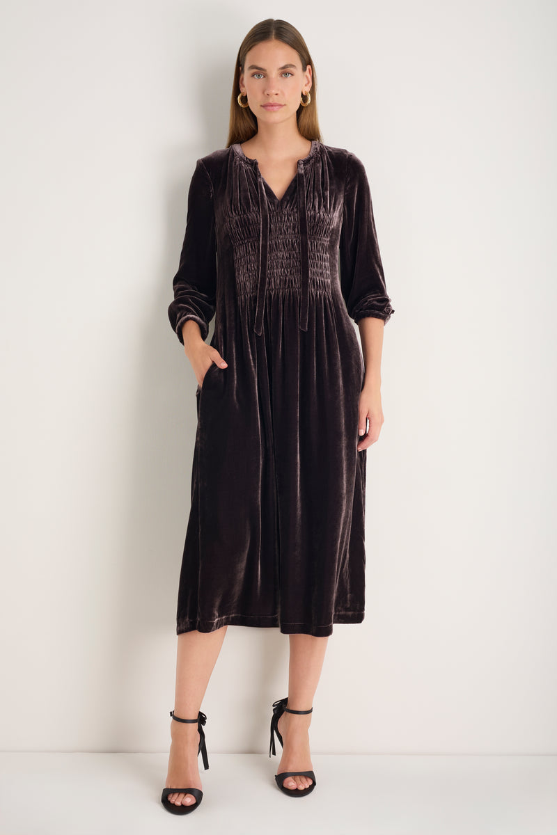 Bree Silk Velvet Dress - Aubergine
