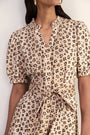 Kelly Dress - Leopard