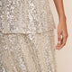 Solange Sequin Skirt - Silver